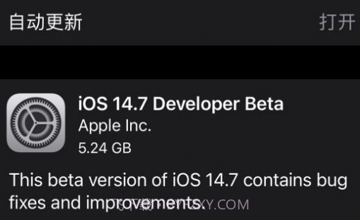 iOS14.7正式版v1.6截图