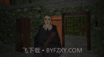 祖传房子的可怕奶奶v1.11截图