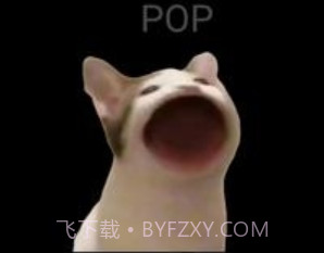 PopCatv4.9.8截图