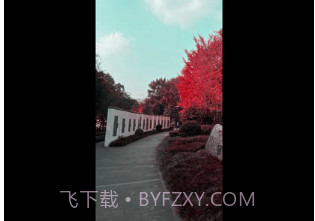 幻熊滤镜剪辑v1.7截图