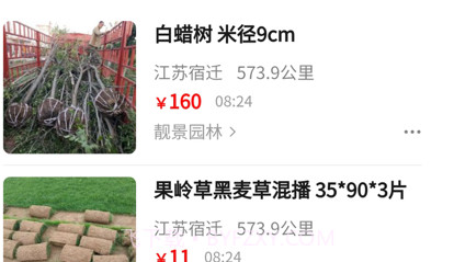 苗青青v1.1.17截图