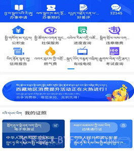 西藏政务服务平台v2.0.10截图