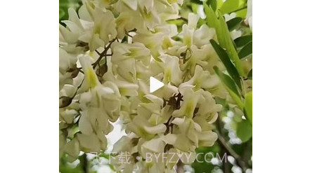 趣豆壳v1.6.16截图