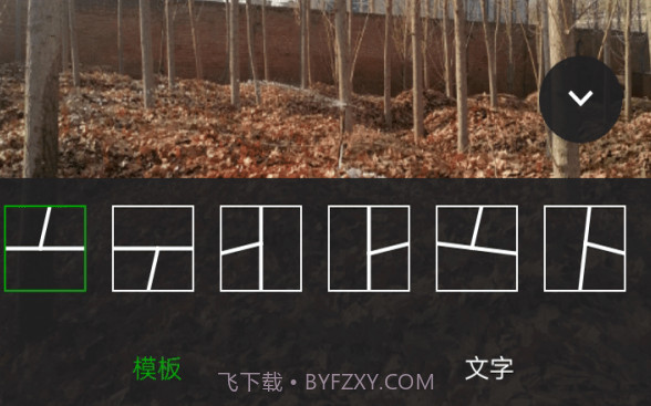小葡萄v1.0.16截图