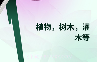 植物花形色拍照识花识别植物v1.11截图