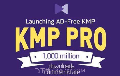 KMPlayer Prov2.2.13截图