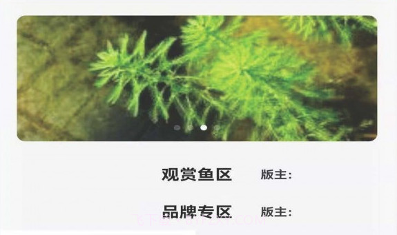 夷水之川v1.13截图