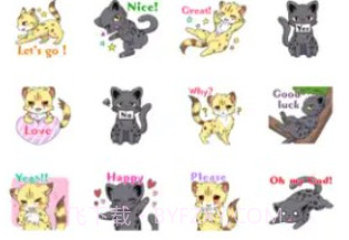 Cheetahv1.3.8截图