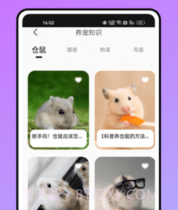 鼠语音翻译器v1.0.11截图