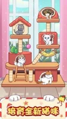 猫咪小家1.0.3截图