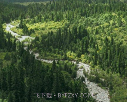 林草督查v1.2.11截图