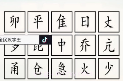 全民汉字王v1.11截图