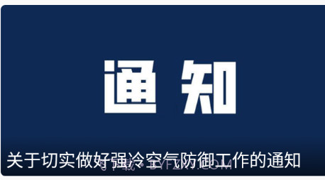 龙港在线v1.0.16截图