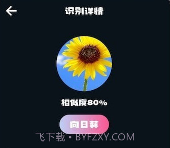 识别花v1.13截图