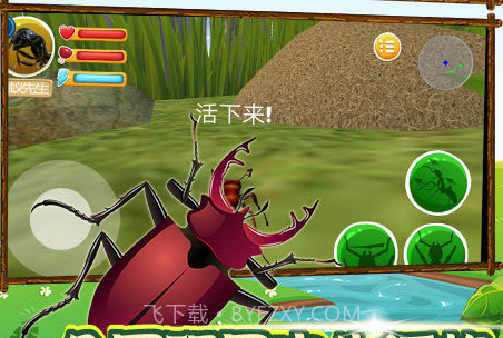 探索昆虫世界v1.2.11截图