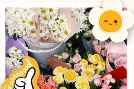 视频美颜P图v1.0.10截图