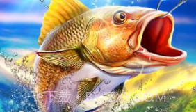 钓鱼王者最新版v1.2.9截图