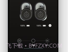 Devialet Geminiv1.11截图