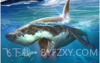 全民钓鱼2链接v2.4.11截图