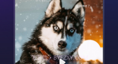 趣爪印v2.48截图