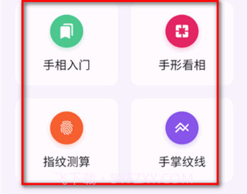 看手相算命软件v2.8截图