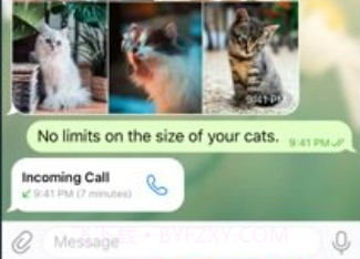 柬埔寨聊天软件飞机v9.6.9截图