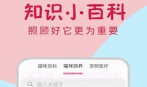 小猫翻译器v1.0.19截图