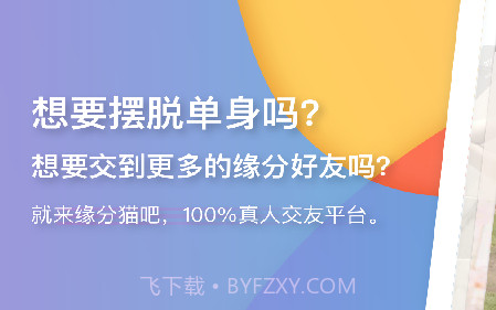 缘分猫v2.1.17截图