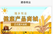 踏乡牧业最新版本V1.0.9截图