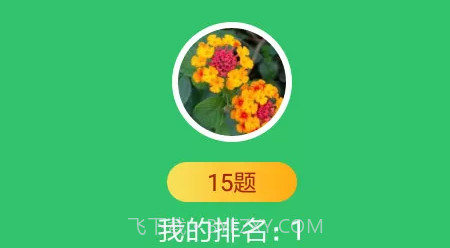 题王v1.0.19截图