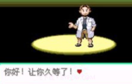 口袋妖怪绿玛瑙v3.0.13截图