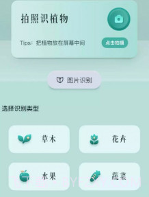 小黄养花v1.17截图