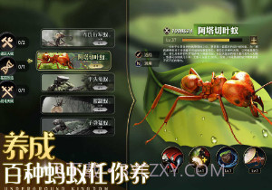 小小蚁国单机版v1.55.15截图