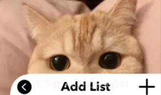 爱猫物语宠物店v1.0.12截图