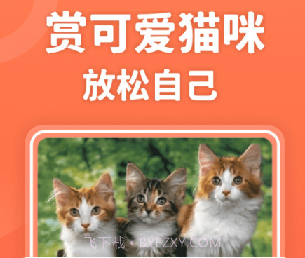 招财进猫v350.17截图