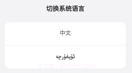 Dilnazv1.0.12截图
