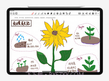 Lionote狮子笔记v1.4.13截图