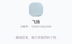 双子座IMv1.1.17截图
