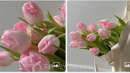 精灵动态壁纸大全v1 鐎瑰宕渧1.14截图