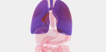 生命人体模拟器v1.15截图