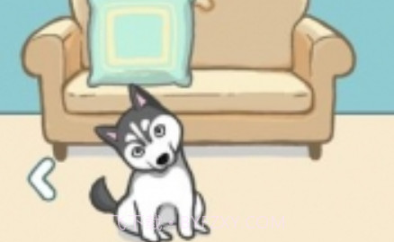 天天躲猫猫番外篇妈妈我想养二哈v1.15截图