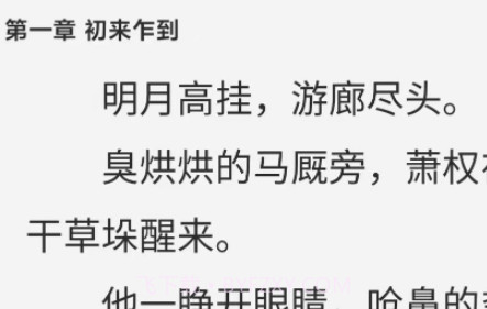 惊量小说v1.0.19截图