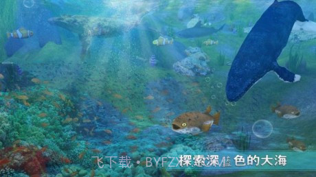 全民养鲸鱼最新版v1.13截图