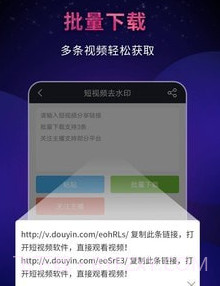 飞狐视频去水印v4.4.0.21截图