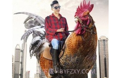 Pixomatic抠图神器专业版v5.4.16截图