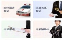 天平咨询V1.0.13截图