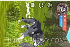 3D动物模拟器13.16截图