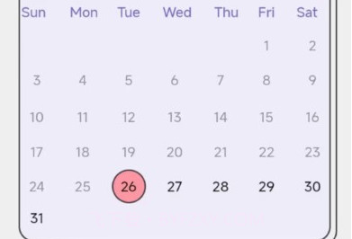 乖猪手账v0.14截图