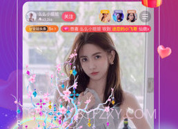 佐伊社轻量版VIP版v2.0.23.17截图