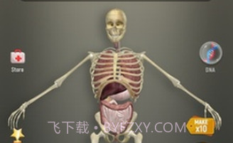 放置人类2v1.0.17截图